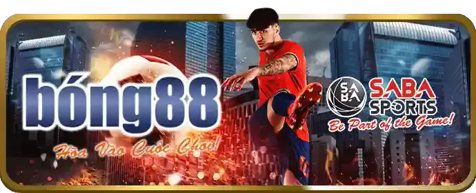 Bản đồ vị trí văn phòng 23win login