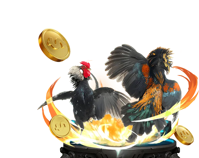 Tổng quan về đá gà 23win